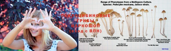 дурь Армянск