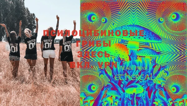 эйфоретик Аркадак