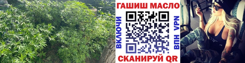 ТГК THC oil  Купить  Зеленогорск 