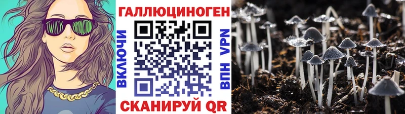Псилоцибиновые грибы мухоморы  Купить  Зеленогорск 